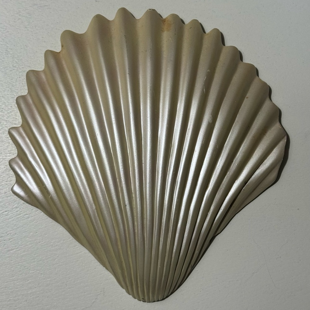 Seashell Wall Decor